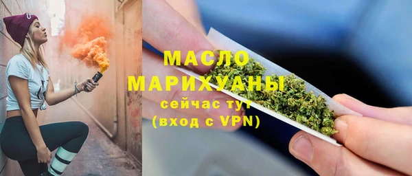 молекула духа Богородск