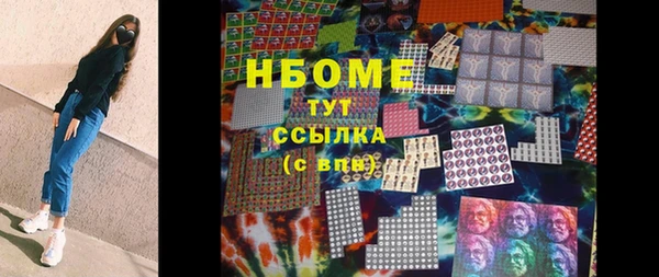 крисы Богородицк