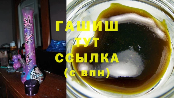 крисы Богородицк
