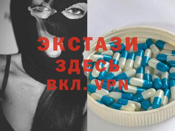 крисы Богородицк