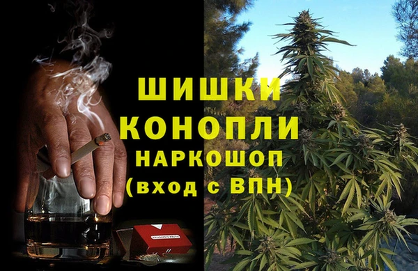 крисы Богданович
