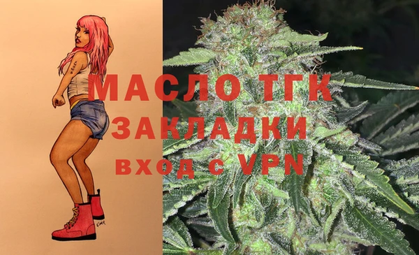 крисы Богородицк