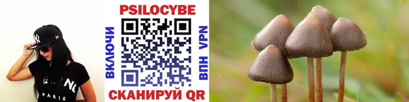 Галлюциногенные грибы ЛСД  купить   Мезень 